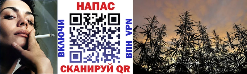 Купить наркоту Домодедово Гашиш  Бошки Шишки  Cocaine  КЕТАМИН  Меф 