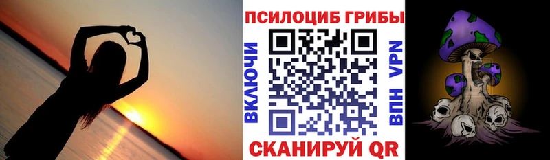 mega tor  дарнет шоп  Домодедово  Псилоцибиновые грибы мухоморы 