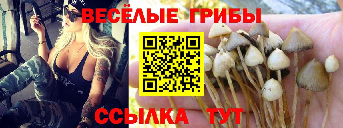 Псилоцибиновые грибы GOLDEN TEACHER Домодедово