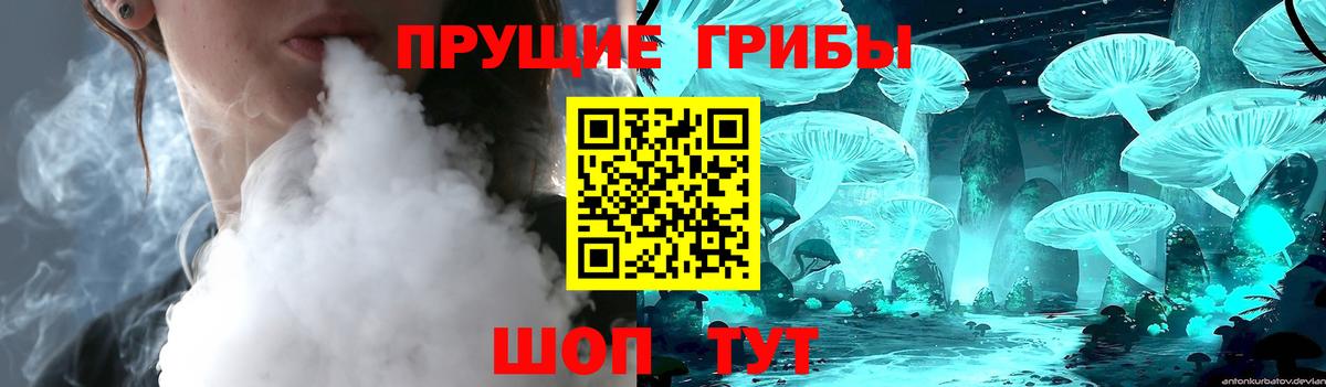Галлюциногенные грибы прущие грибы  Домодедово 