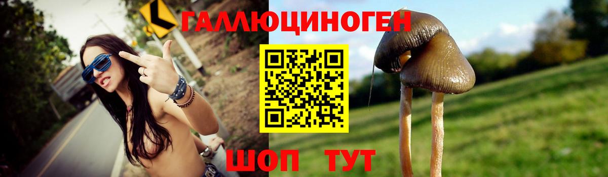 Домодедово  Галлюциногенные грибы прущие грибы  Вход с VPN 
